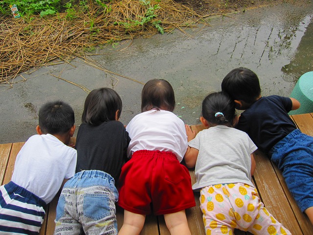 ６月のすみれ組 みなみ保育園 宮崎県延岡市