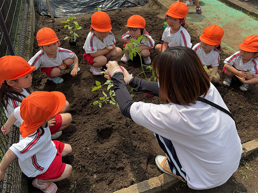 花壇で子供達に植物の苗の植え方を教える先生